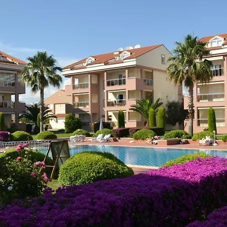 Citrus Garden *