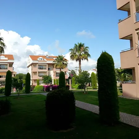 Citrus Garden *